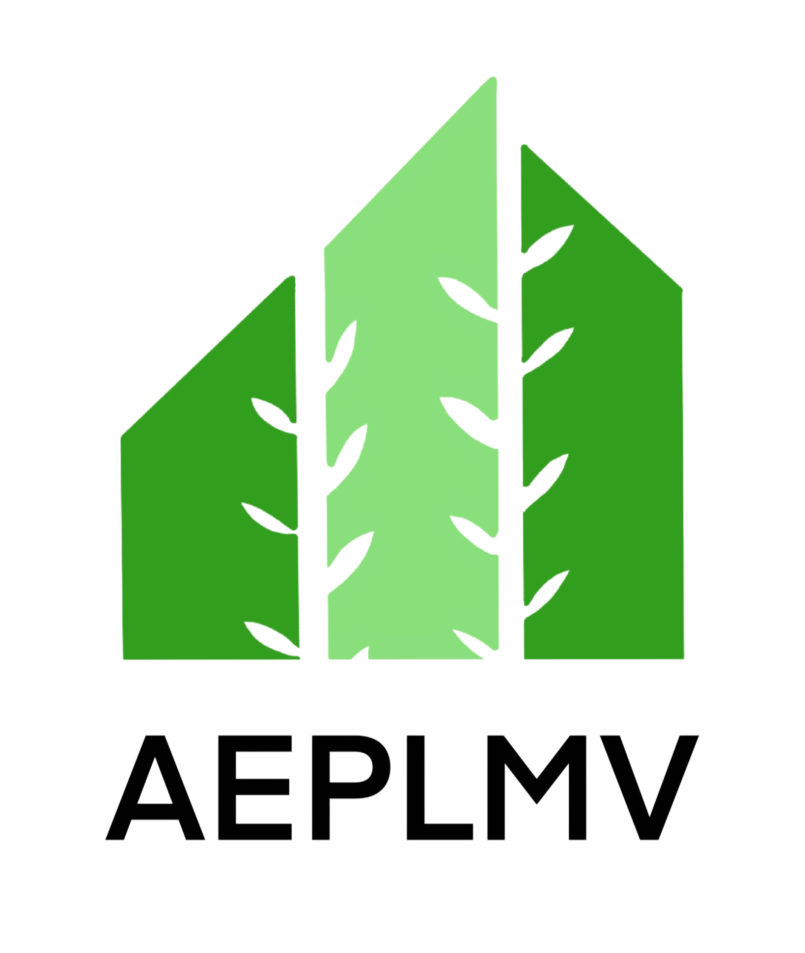 AEPLMV — verticals direction